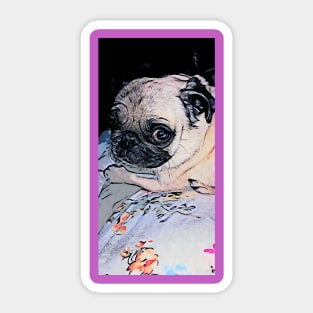 Miss Lexa Pug Dog Sticker